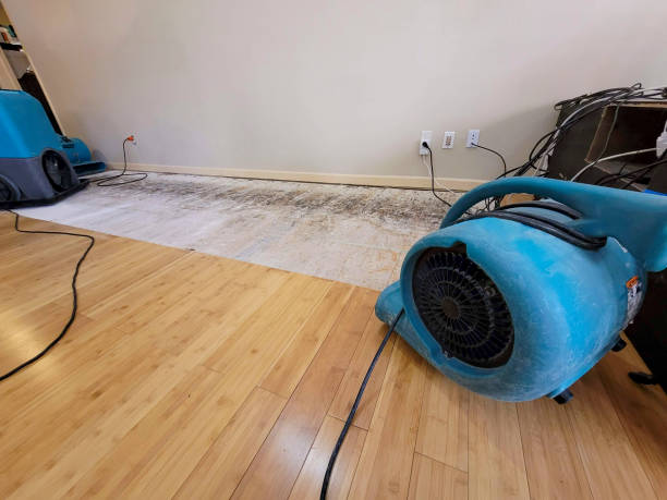 Professional Water Removal technician working in Devers, TX